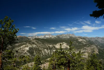 DSC_9967 (Large).JPG